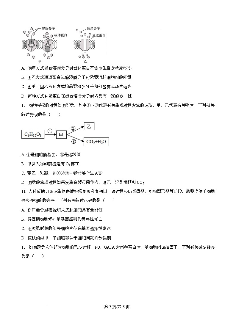 四川省泸州市泸县第五中学2025-2026学年高一上学期1月期末生物试题（原卷版）第3页