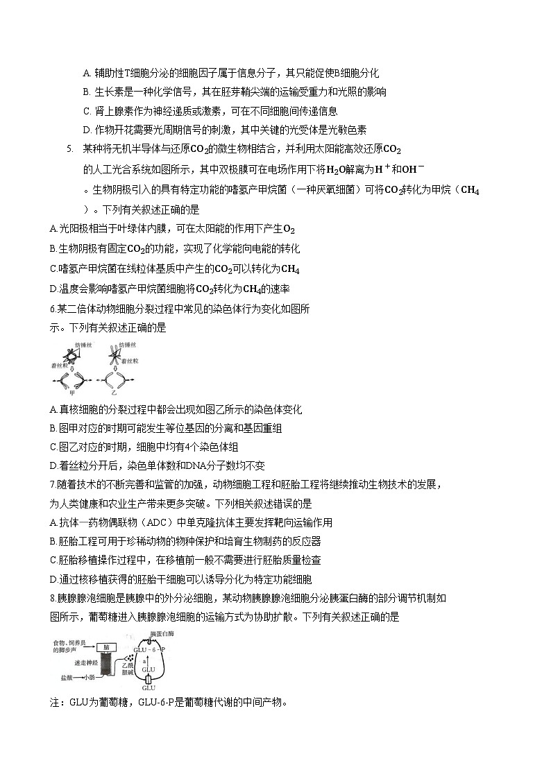 河北省邢台市2025_2026学年高三上学期第四次联考生物试题（文字版，含答案）第2页