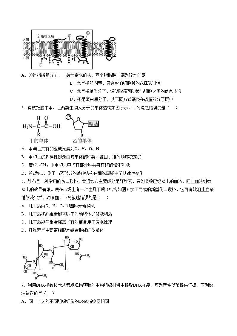 山东省临沂市费县2025_2026学年高一上学期1月学情检测生物试题（文字版，含答案）第2页