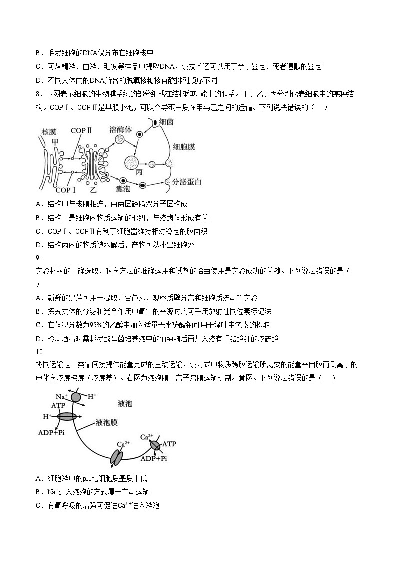 山东省临沂市费县2025_2026学年高一上学期1月学情检测生物试题（文字版，含答案）第3页