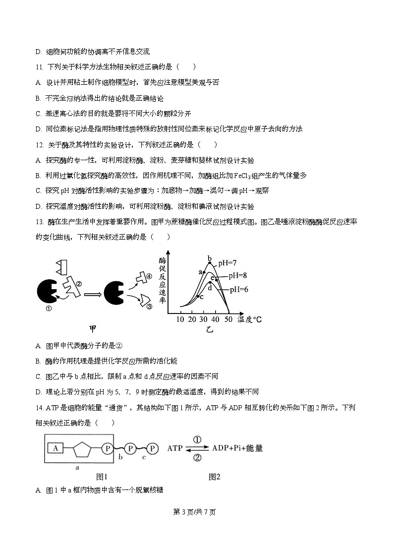四川省南充市阆中市四川省阆中中学2025-2026学年高一上学期1月月考生物试题（原卷版）第3页
