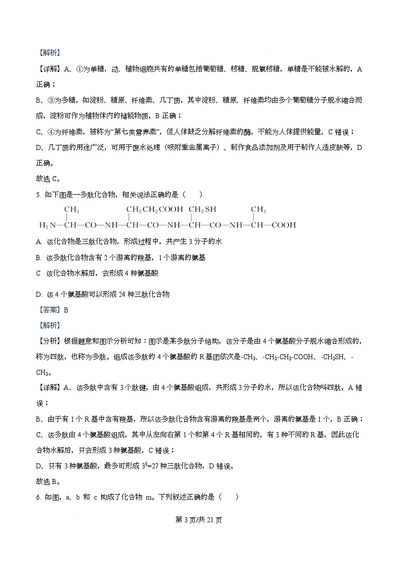 四川省南充市仪陇县四川省仪陇中学2025-2026学年高一上学期12月月考生物试题 Word版含解析第3页