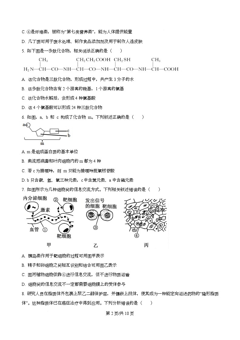 四川省南充市仪陇县四川省仪陇中学2025-2026学年高一上学期12月月考生物试题（原卷版）第2页