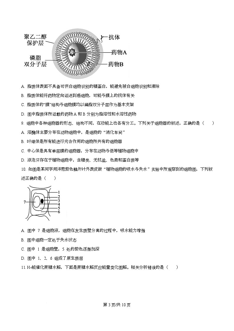 四川省南充市仪陇县四川省仪陇中学2025-2026学年高一上学期12月月考生物试题（原卷版）第3页