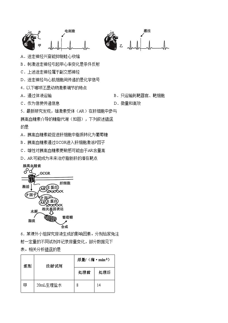 北京市西城区三十五中2025_2026学年高二上学期期末生物试题(文字版含答案)第2页