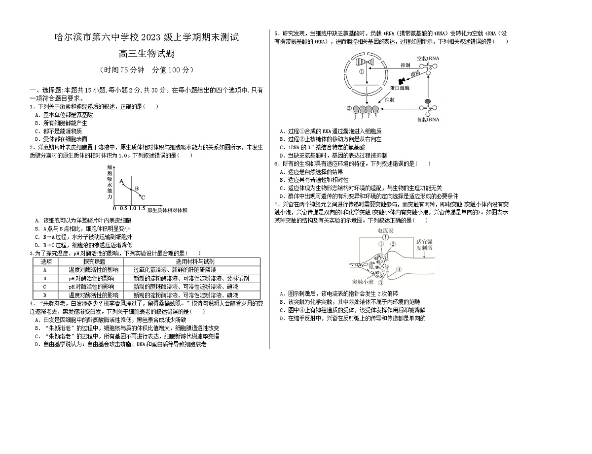 哈尔滨市第六中学校2026届高三上学期1月期末考试生物试卷第1页