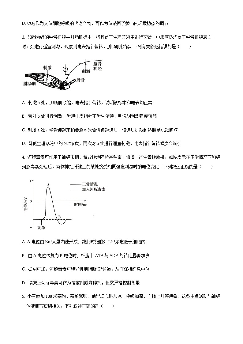 河南省豫北名校2025-2026学年高二上学期1月月考生物试题（含答案）第2页