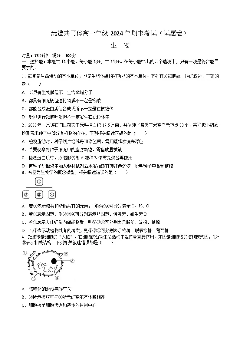 湖南省沅澧共同体2024-2025学年高一上学期期末考试生物学试卷（含答案）第1页
