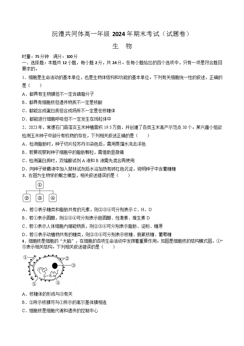 湖南省沅澧共同体2024-2025学年高一上学期期末考试生物学试卷（含答案）第1页