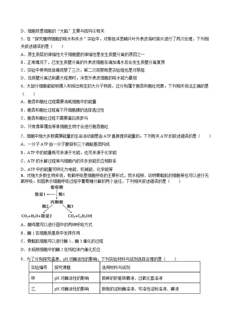 湖南省沅澧共同体2024-2025学年高一上学期期末考试生物学试卷（含答案）第2页