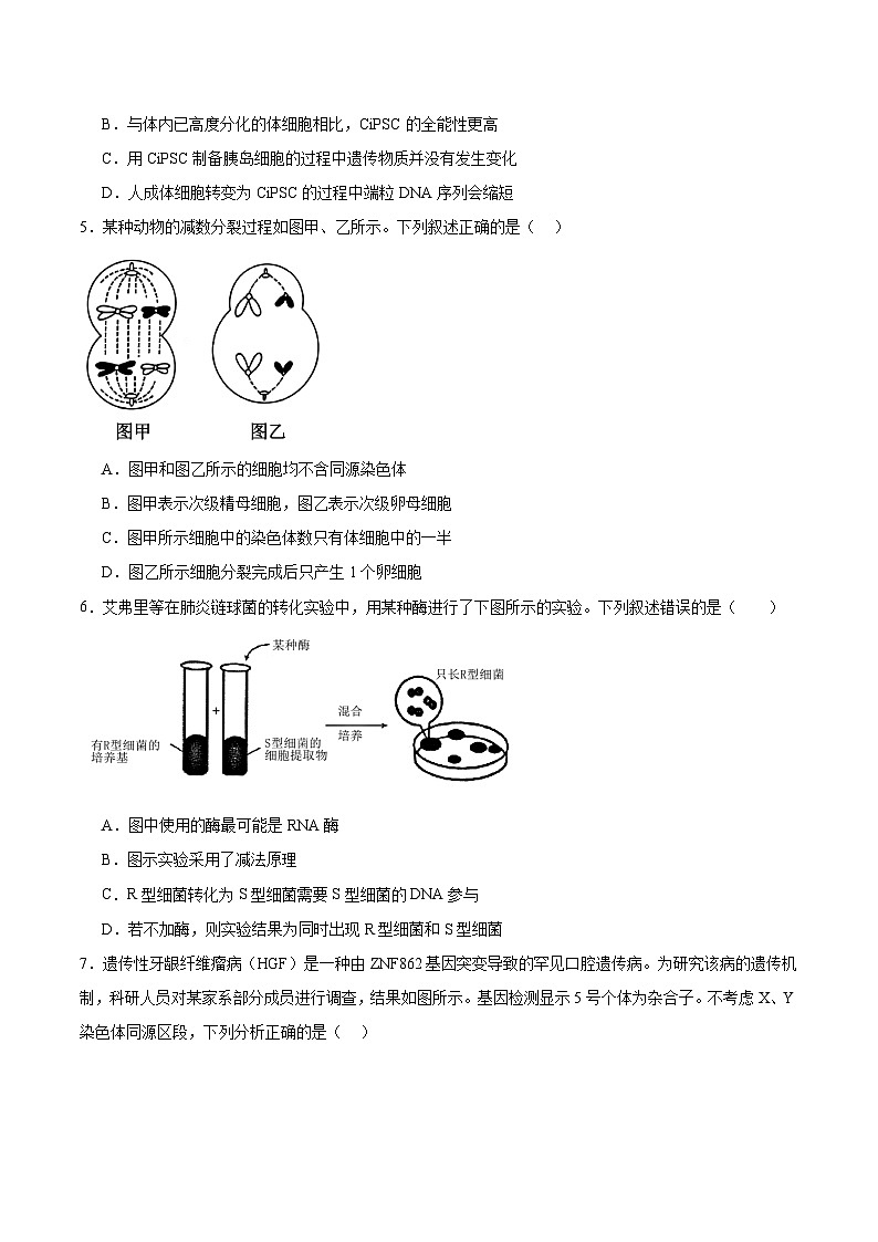 吉林省友好学校2026届高三上学期第80届期末联考生物试卷（含答案）第2页