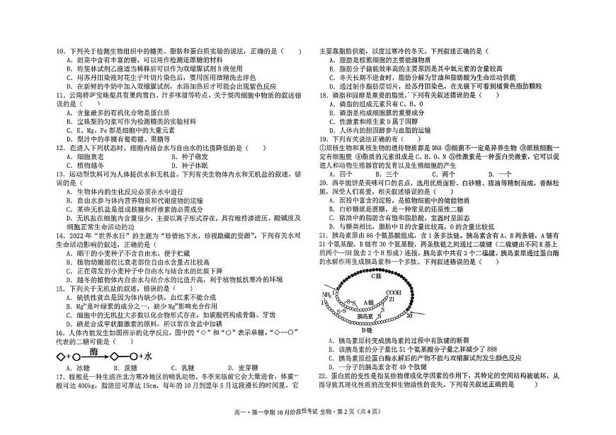 吉林省延吉市第三高级中学2024-25学年高一上学期10月月考生物试题第2页