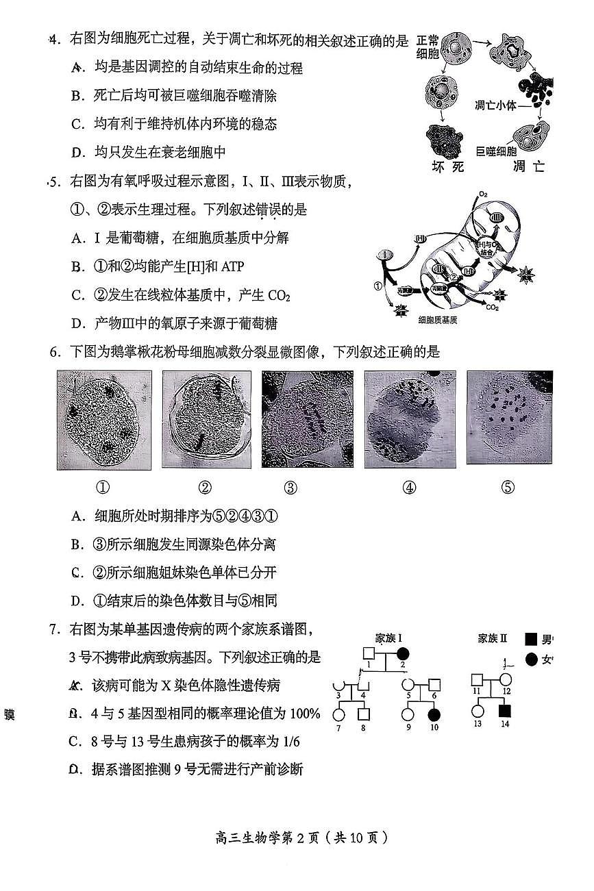 北京市房山区2025-2026学年高三上学期期末生物试题第2页