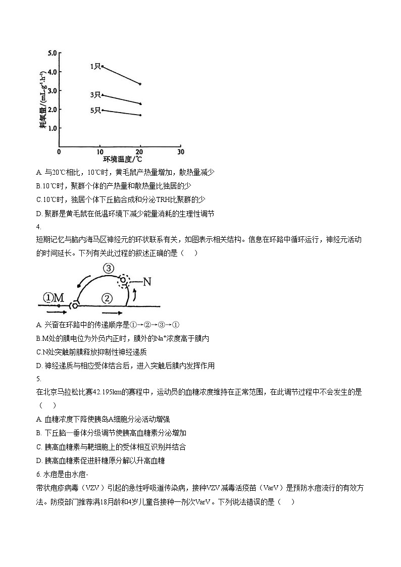 辽宁省大连市西岗区大连市第三十六中学2025_2026学年高二上学期1月期末生物试题(文字版含答案)第2页