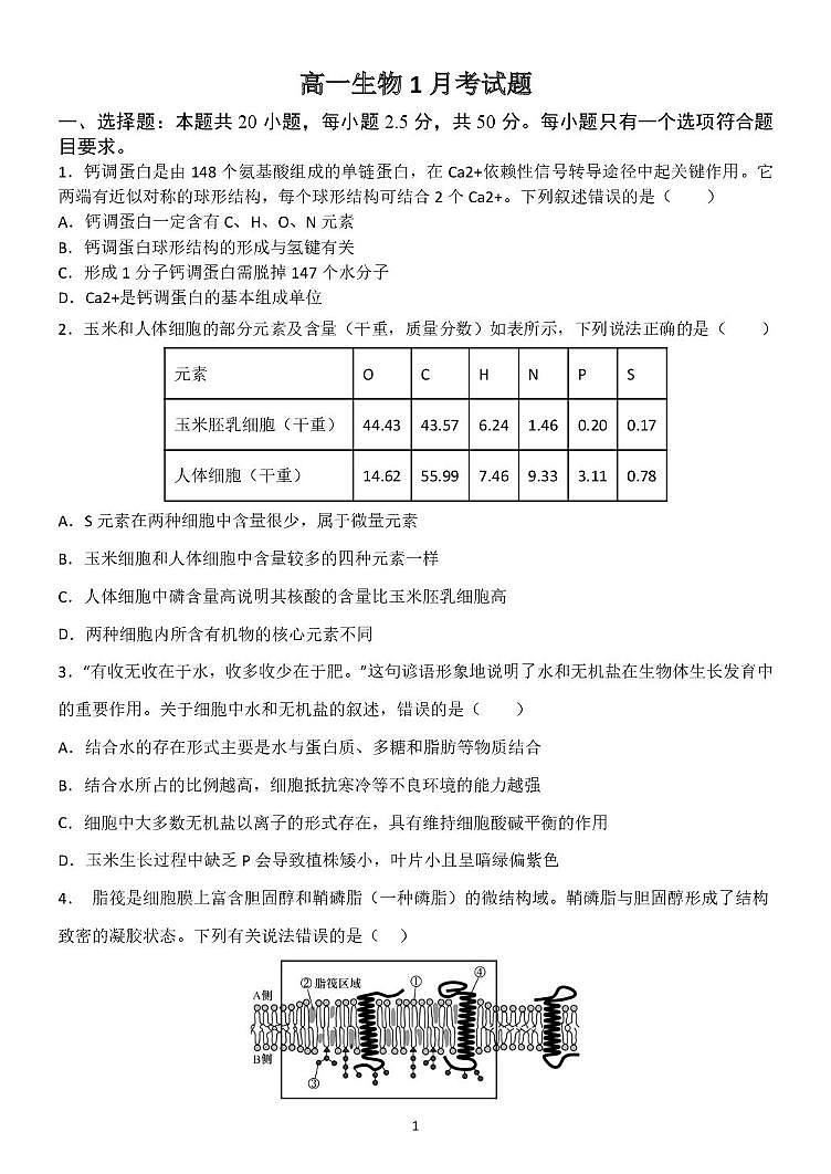 山东省临沂市费县2025-2026学年高一上学期1月学情检测生物试题（月考）第1页