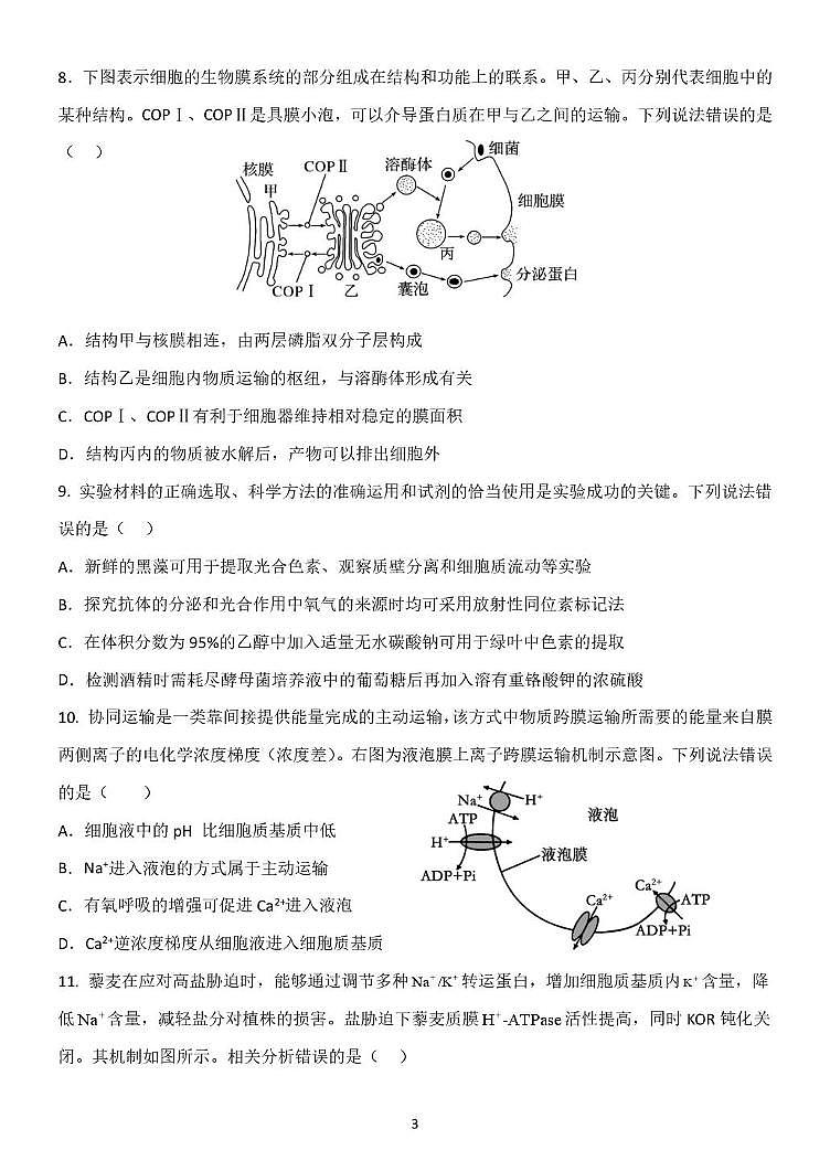 山东省临沂市费县2025-2026学年高一上学期1月学情检测生物试题（月考）第3页