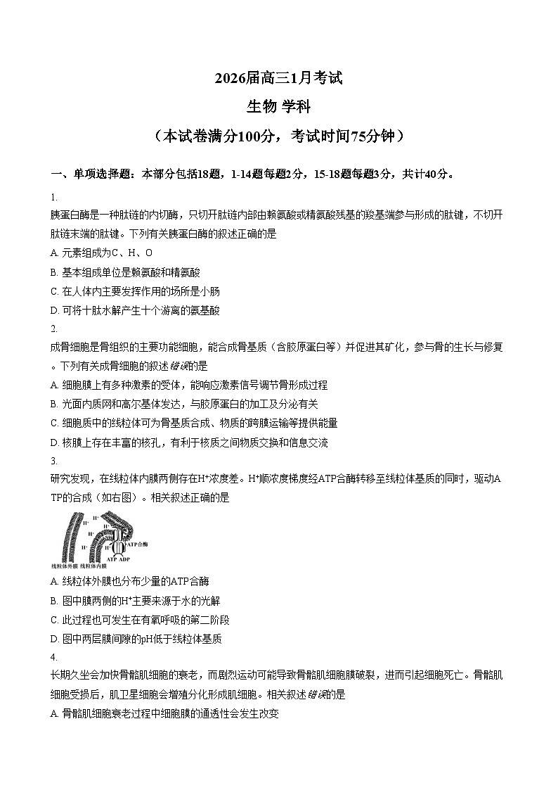 安徽省合肥市第一中学2025_2026学年高三上学期1月考试生物试题(文字版含答案)第1页
