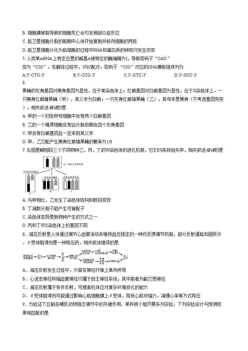 安徽省合肥市第一中学2025_2026学年高三上学期1月考试生物试题(文字版含答案)第2页