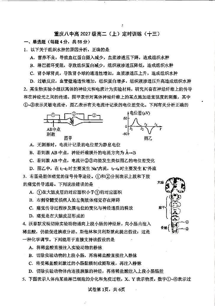 重庆市第八中学校2025-2026学年高二上学期定时训练（十三）生物试题（月考）第1页