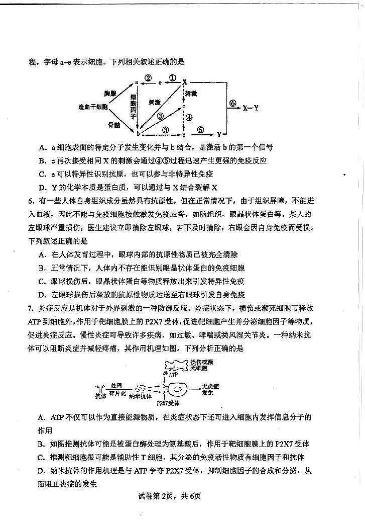 重庆市第八中学校2025-2026学年高二上学期定时训练（十三）生物试题（月考）第2页