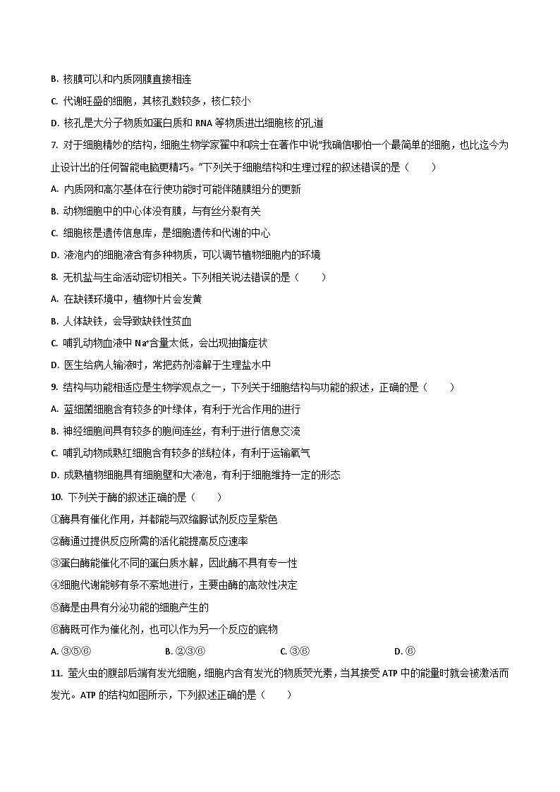陕西省渭南市重点高中2025-2026学年高一上学期1月月考试题 生物(含答案）第2页
