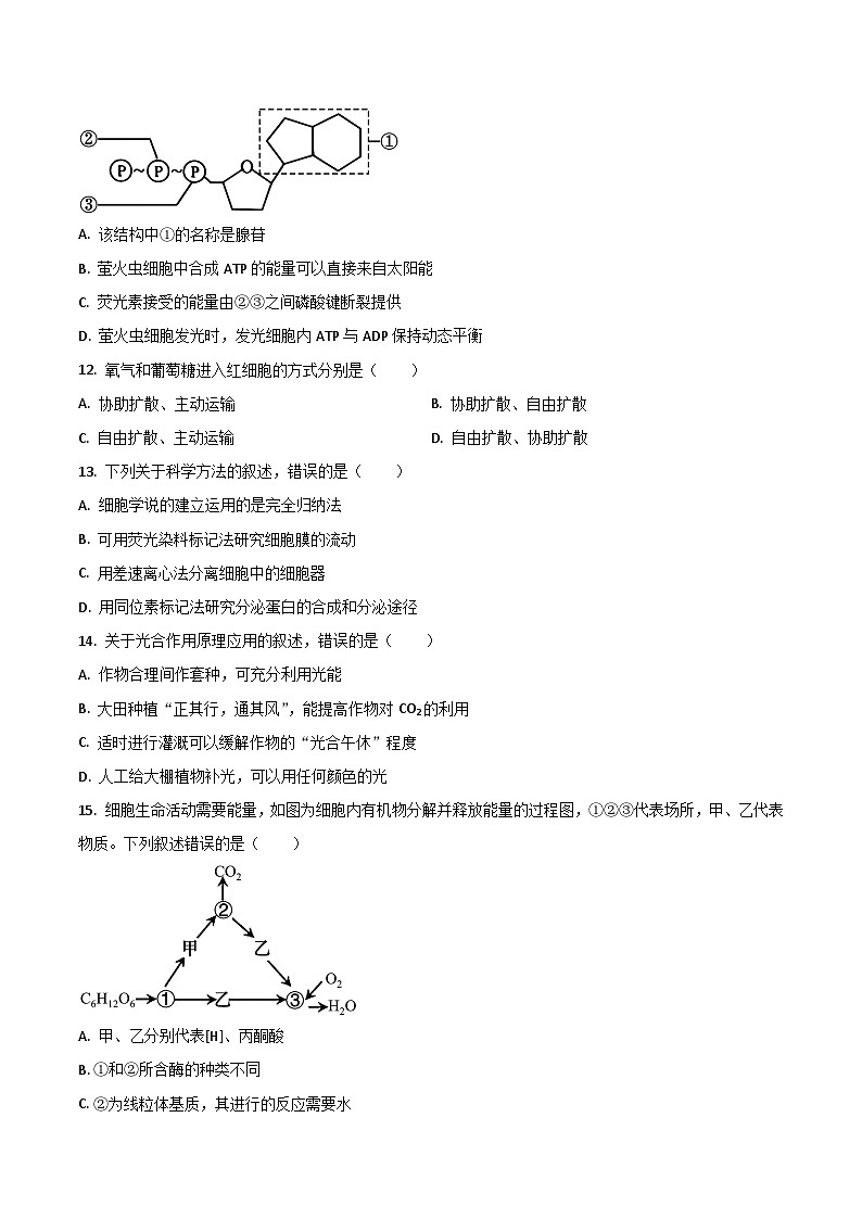 陕西省渭南市重点高中2025-2026学年高一上学期1月月考试题 生物(含答案）第3页