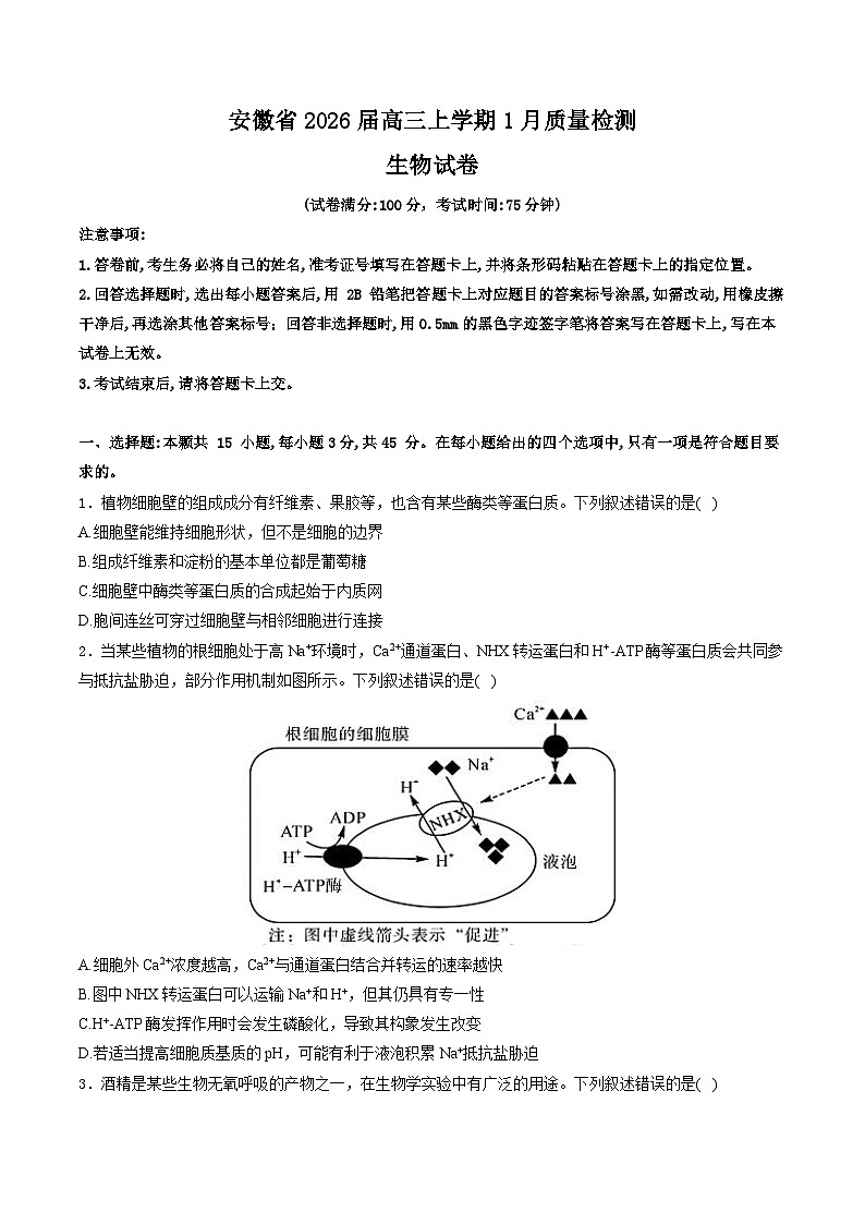 安徽省2026届高三上学期1月质量检测生物试卷（含解析）第1页
