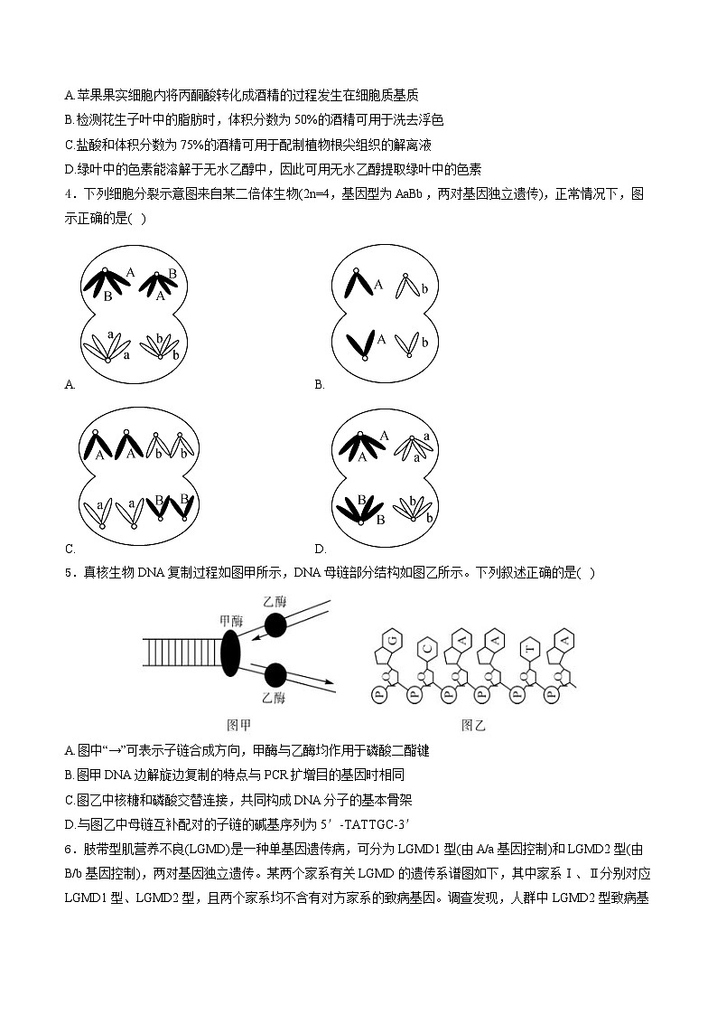安徽省2026届高三上学期1月质量检测生物试卷（含解析）第2页