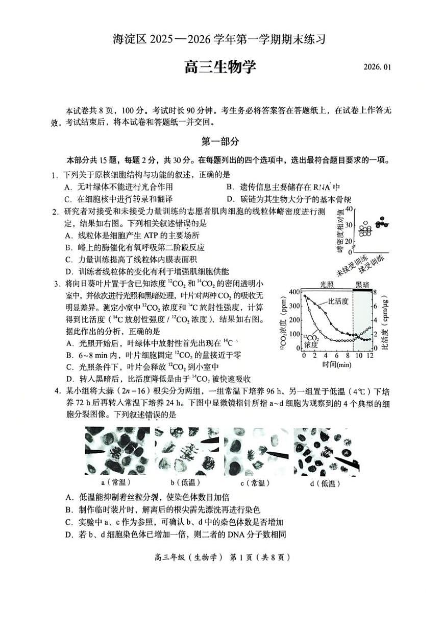 2025-2026学年北京市海淀区第一学期高三期末考试生物试题_(含答案_)第1页