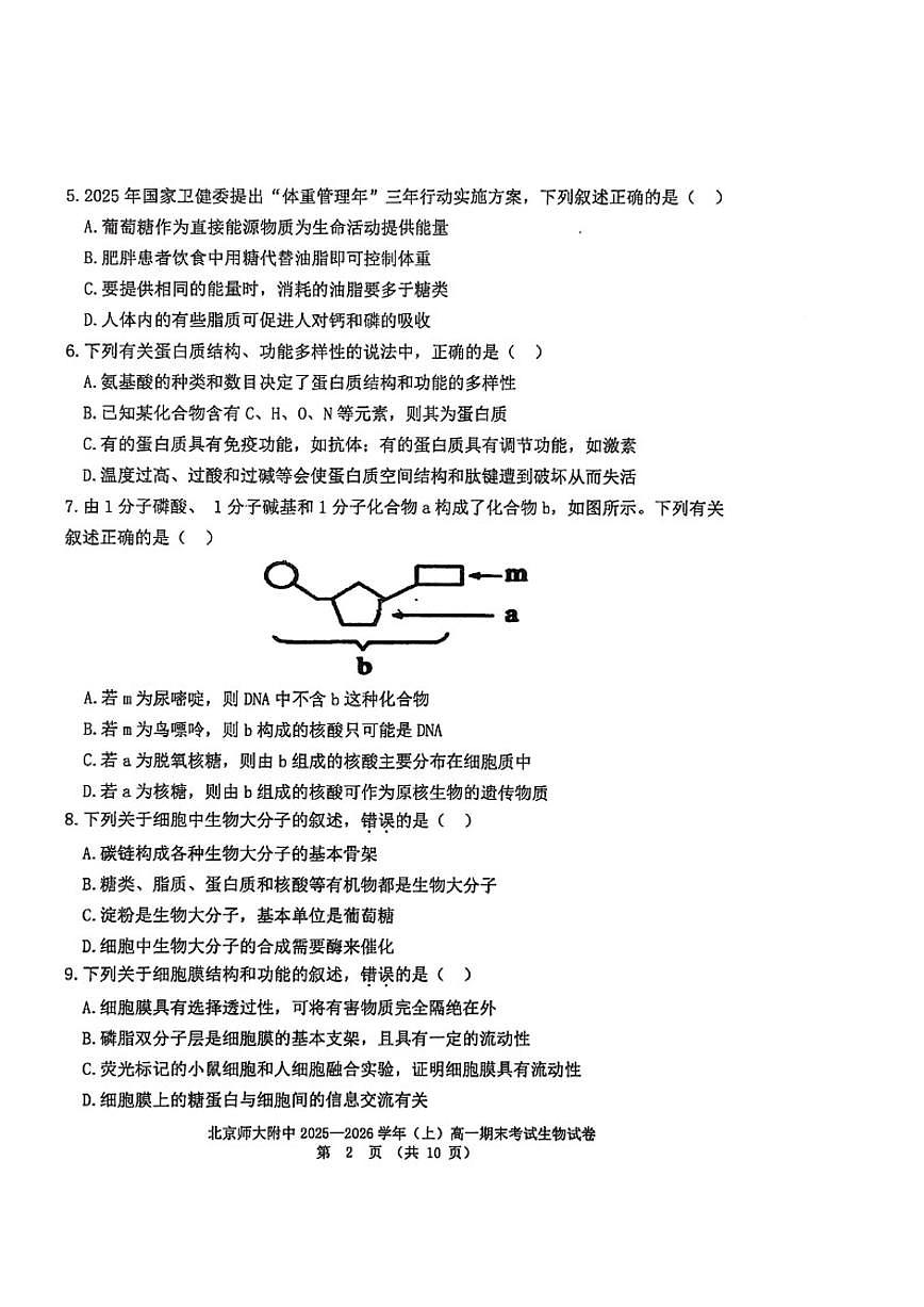 2025-2026学年北京北师大附中高一（上）期末生物_(无答案_)试卷第2页