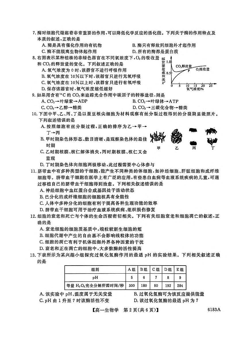 吉林省吉林市外五县2025-2026学年高一上学期1月期末考试生物试题（含答案）第2页
