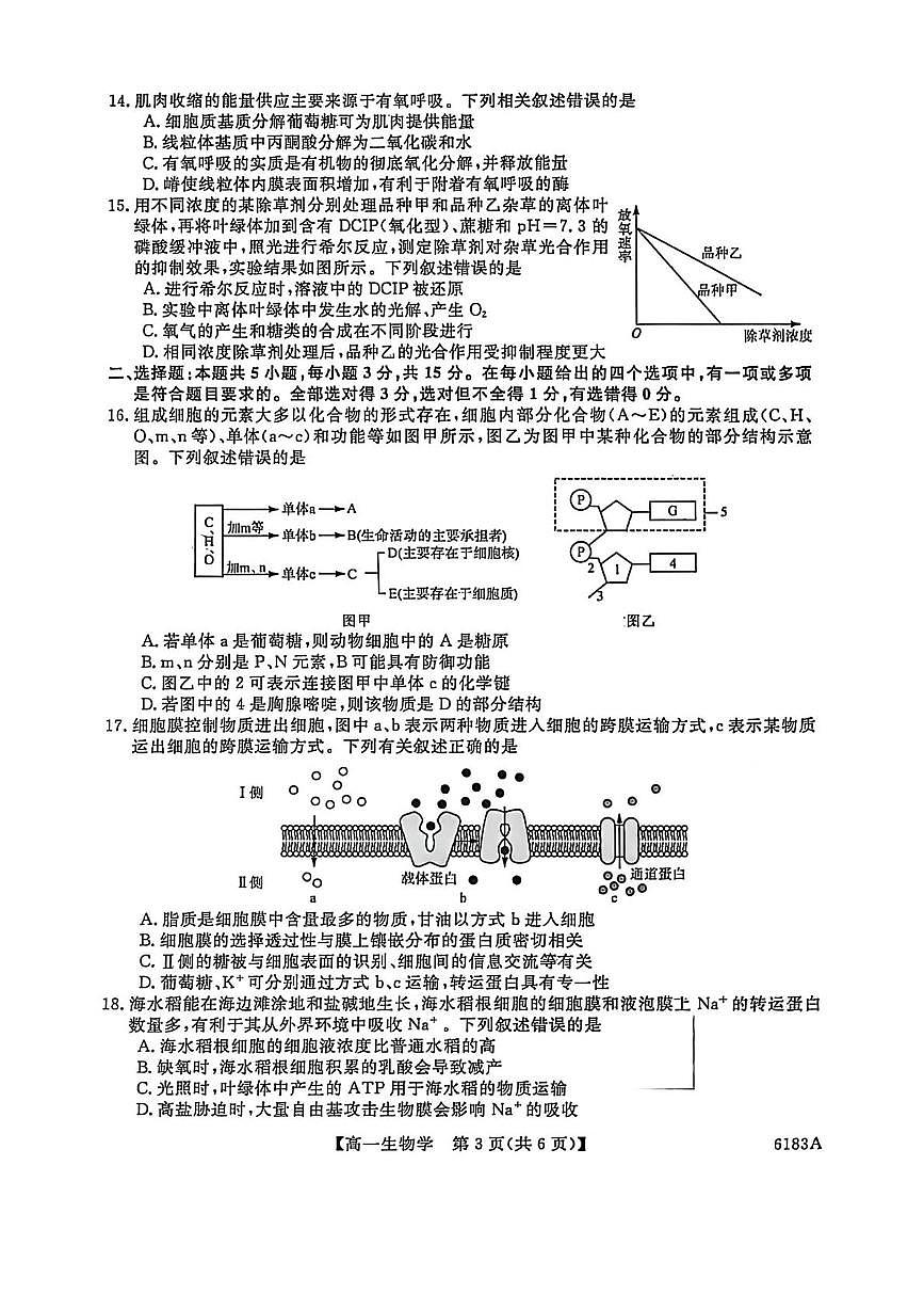 吉林省吉林市外五县2025-2026学年高一上学期1月期末考试生物试题（含答案）第3页