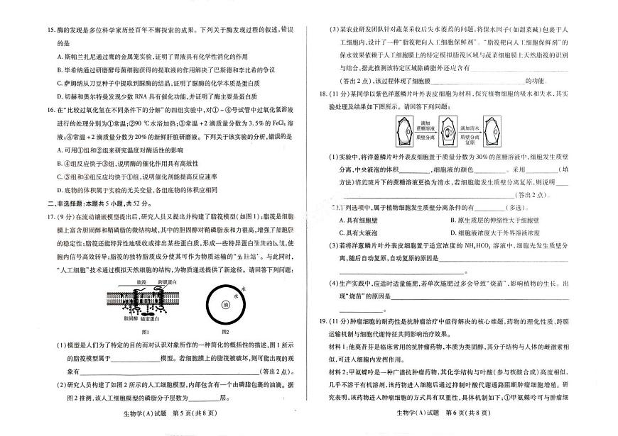 河南省豫北名校2025-2026学年高一上学期1月阶段性测试(二)生物试题（含答案）第3页