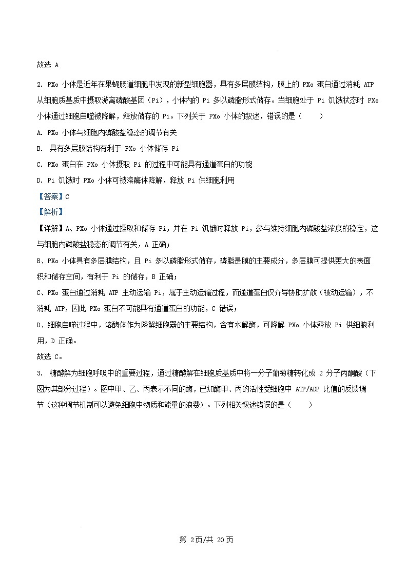 安徽省2025_2026学年高三生物上学期12月学情检测A试题含解析第2页