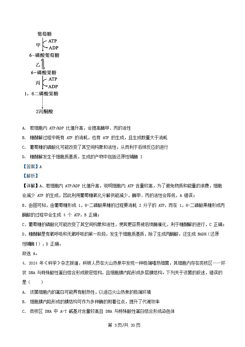 安徽省2025_2026学年高三生物上学期12月学情检测A试题含解析第3页