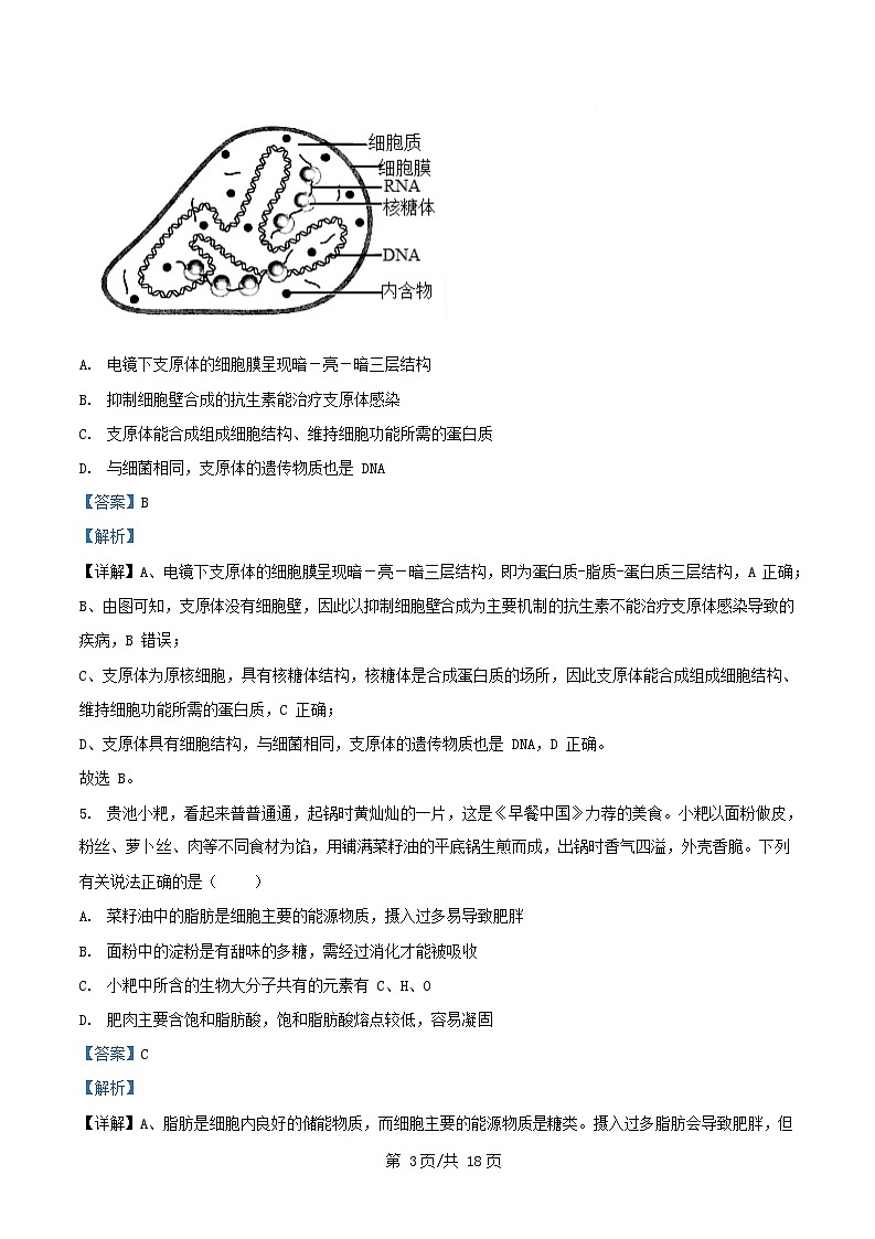 安徽省池州市贵池区2025_2026学年高一生物上学期11月期中试题含解析第3页