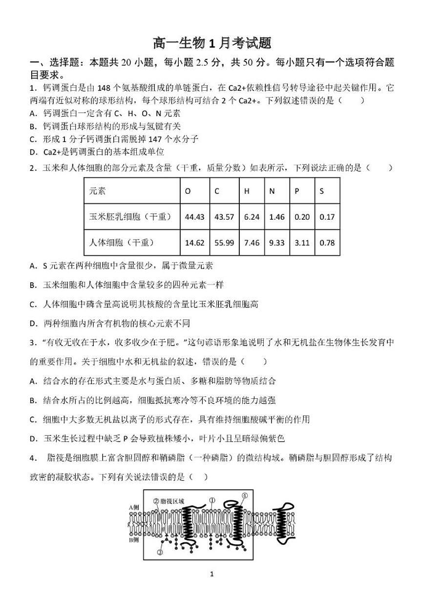 2025-2026学年山东省临沂市费县高一上学期1月学情检测生物试题（含答案）第1页