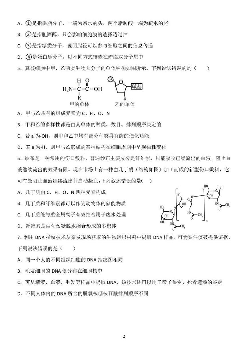 2025-2026学年山东省临沂市费县高一上学期1月学情检测生物试题（含答案）第2页