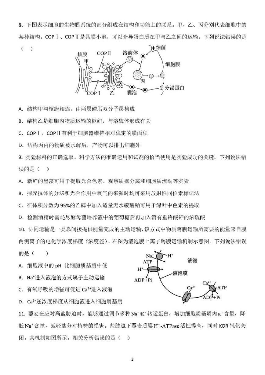 2025-2026学年山东省临沂市费县高一上学期1月学情检测生物试题（含答案）第3页