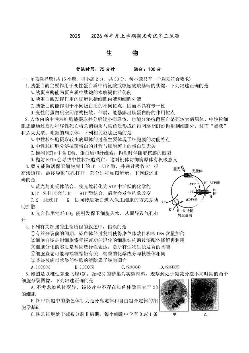 辽宁省协作体2025-20206年高三上期末生物学试卷（含答案）第1页
