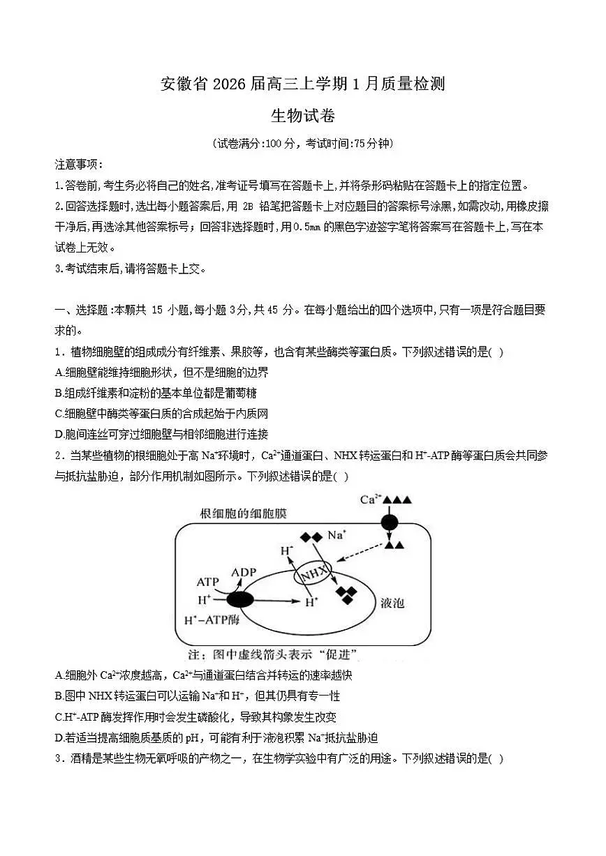 2026届安徽省高三上学期1月质量检测生物试卷（含解析）第1页