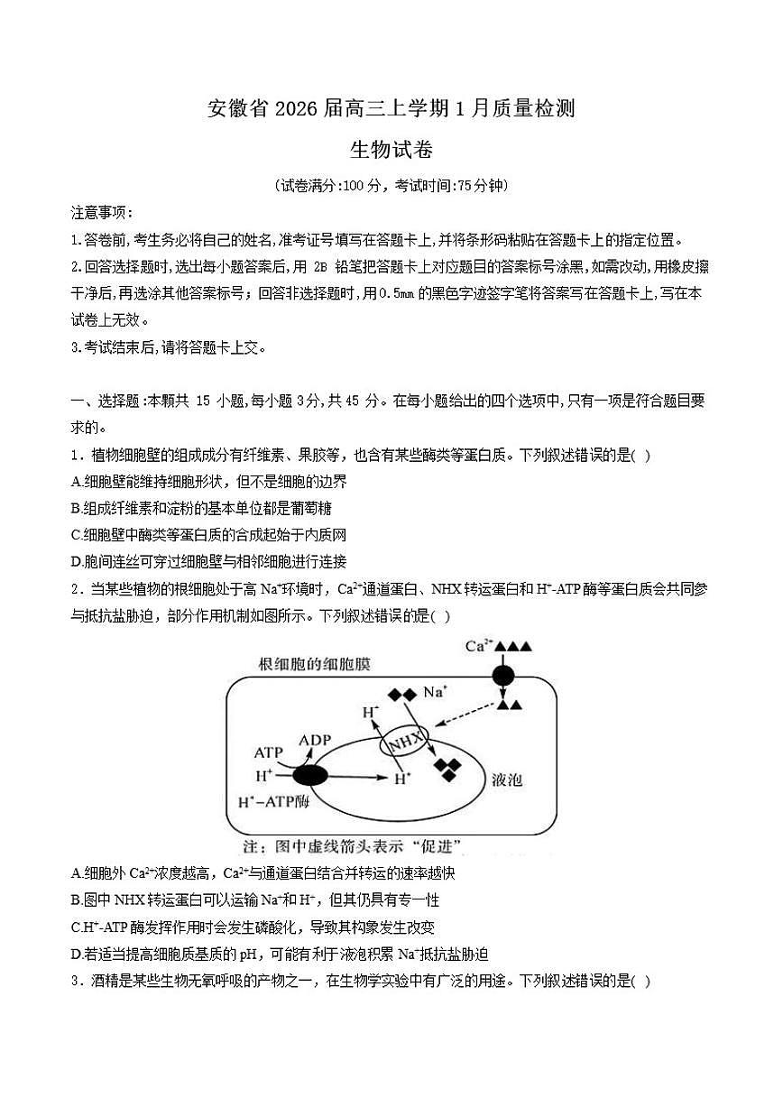 2026届安徽省高三上学期1月质量检测生物试卷（含解析）第1页
