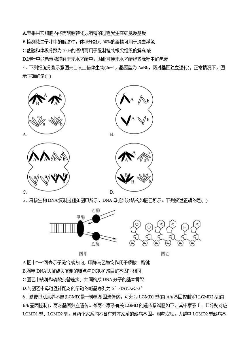 2026届安徽省高三上学期1月质量检测生物试卷（含解析）第2页