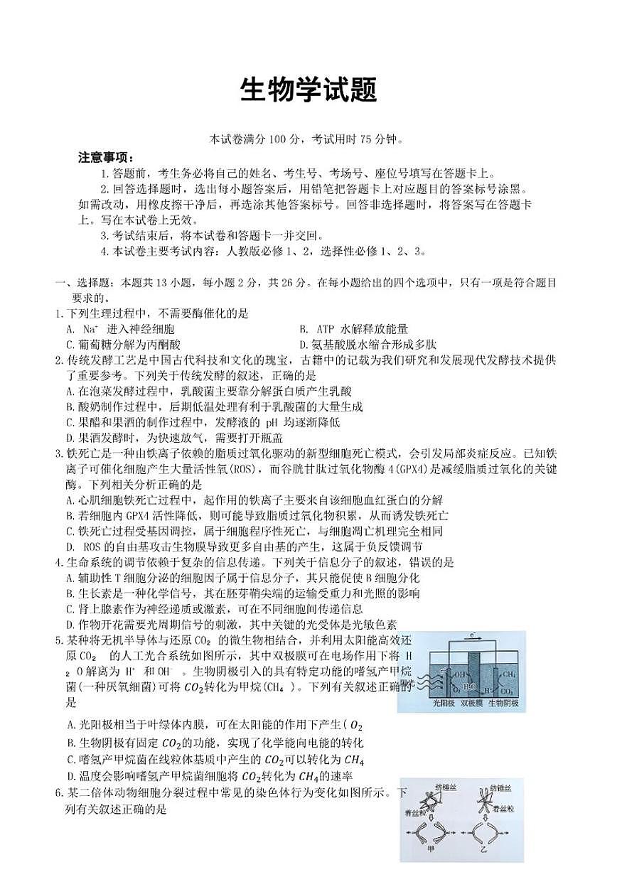 2025-2026年河北省衡水市部分学校高三上期末生物学试卷（含解析）第1页