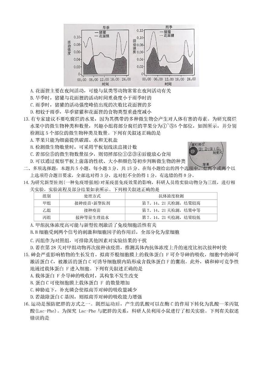 2025-2026年河北省衡水市部分学校高三上期末生物学试卷（含解析）第3页