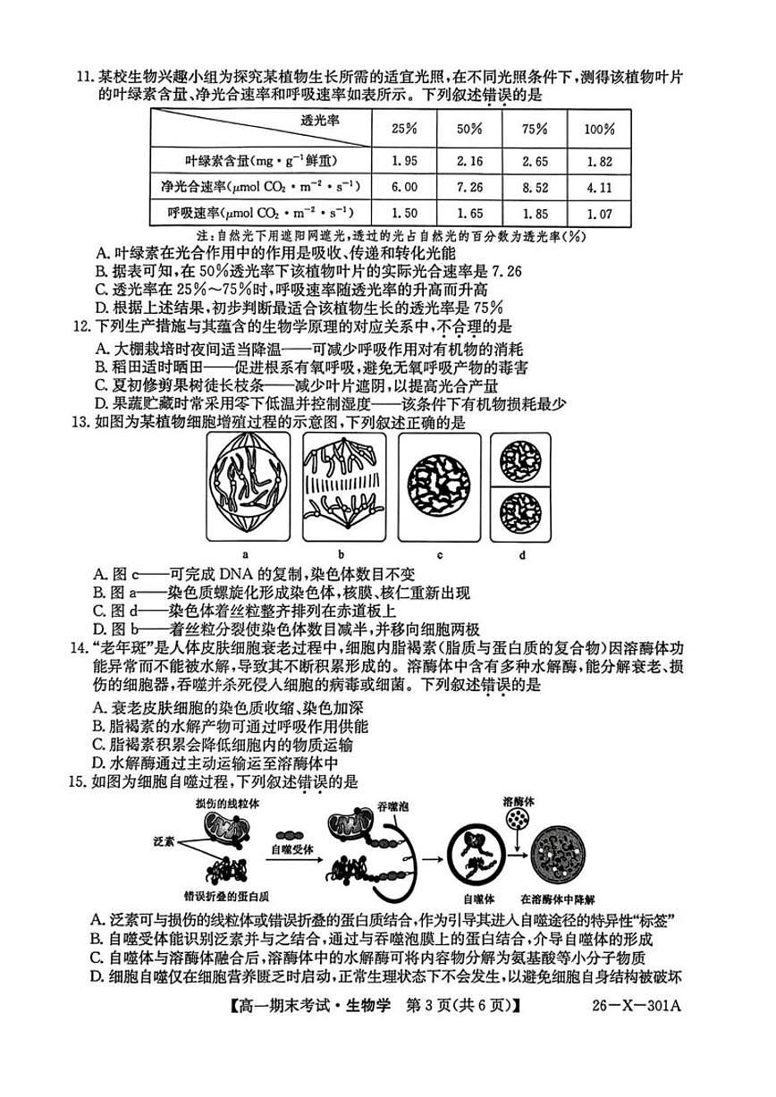 2025-2026学年黑龙江省龙东十校联盟高一上学期期末考试生物试卷（含答案）第3页