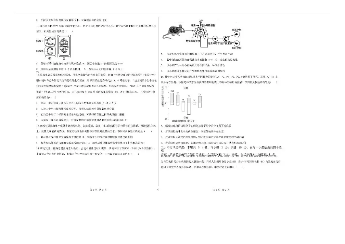2026届吉林省白城市实验高级中学高三上学期1月期末考试生物试卷（含解析）第2页