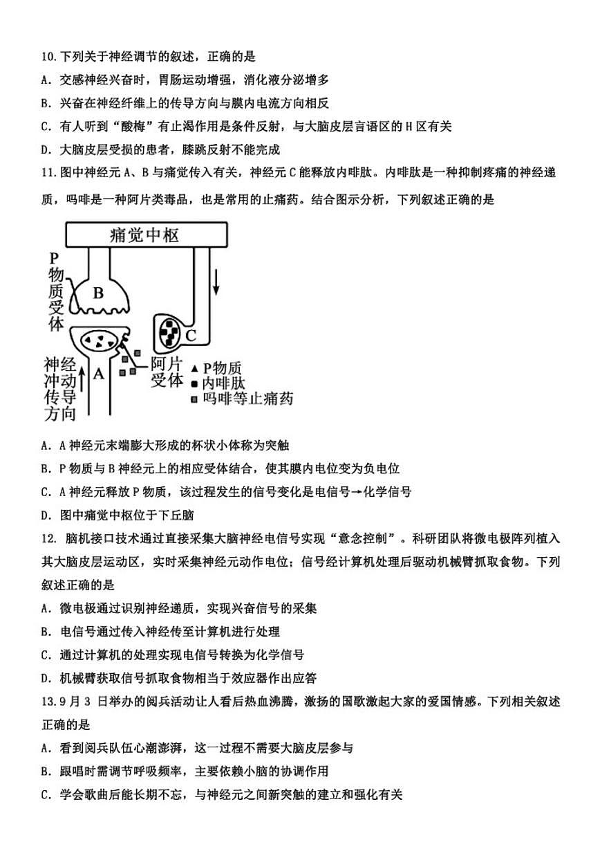 2025-2026学年河北省衡水市高二上学期9月一调考试生物试题（含答案）第3页