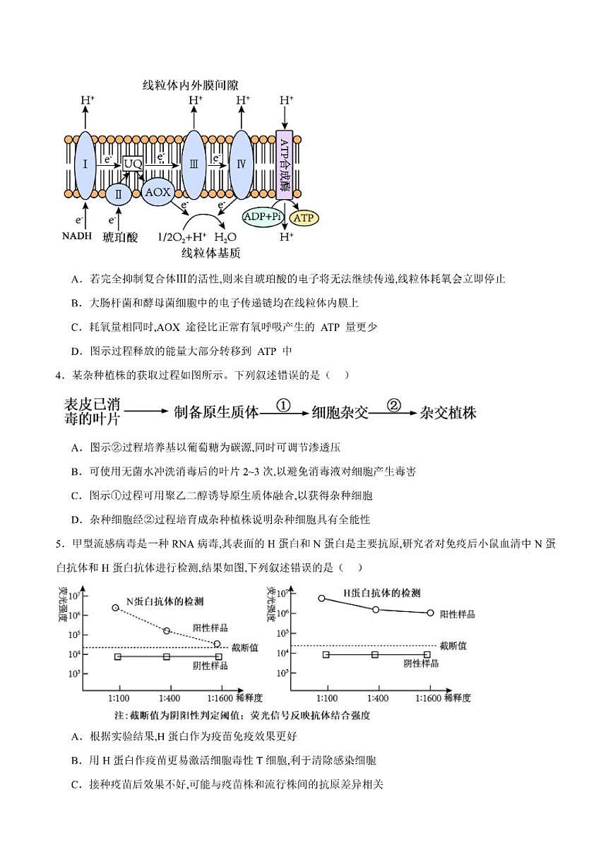 2026届重庆市第八中学高三上学期1月高考适应性月考卷五（一诊）生物试卷（含答案）第2页