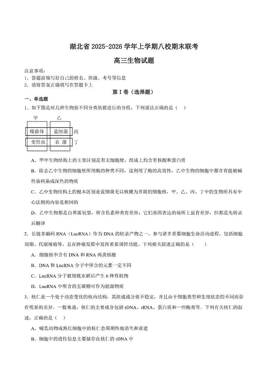 2026届湖北省八校高三上学期期末联考生物试卷（含答案）第1页